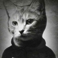 Роман Котов