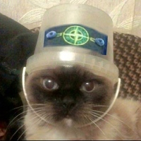 Денис Облепов