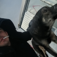 Владимир Перепелица