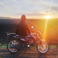 Максим Дмитриев