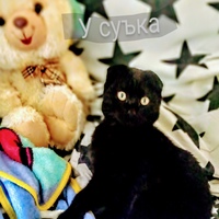 Макс Чапаев