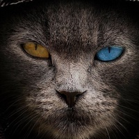 Расул Бисеров