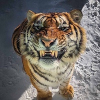 Костя Кудряшов