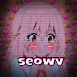 seowv