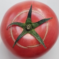 Никита Кудряшов