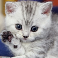 Ильназ Хазиев