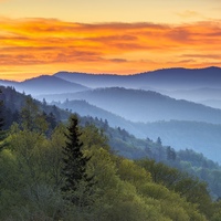 Андрий Федоров