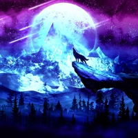 Алекс Шевченко