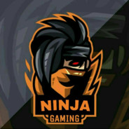 Ninja(1)