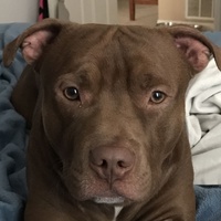 Богдан Каримов