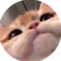 Данил Комиссаров