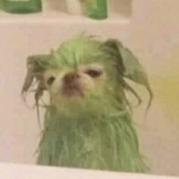 Дима Тереховский