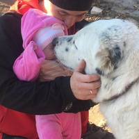 Артем Сергеевич