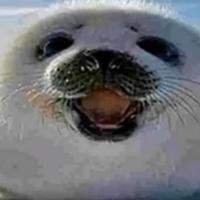 Слава Фырков