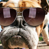 Даниил Амосов