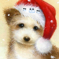 Ильина Волкова