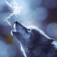 Андрей Волков(1)