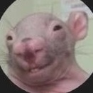 Никита Крестовский