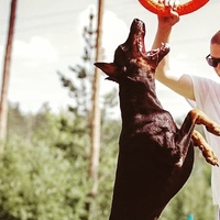 Андрей Андреев(3)