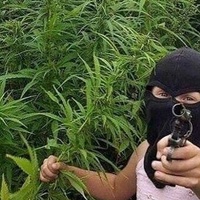 Артур Хачеков