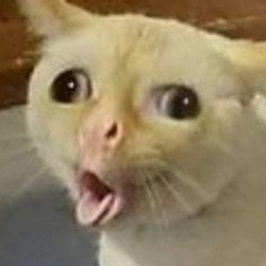 Полина Виленская