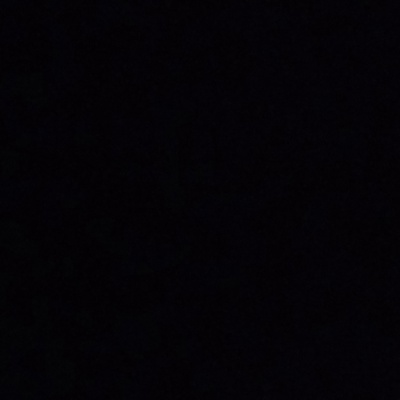 Савелий Чесноков