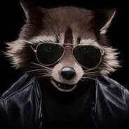Russian Raccoon