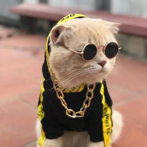 Александр Сакмаров