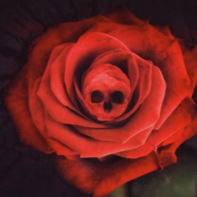 Денис Вшивцев