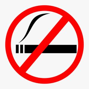 Попка дурак