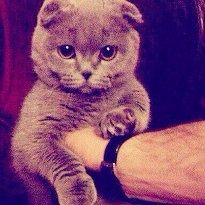 Кирилл Гончаров