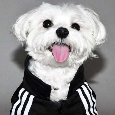 Даня Козырев(1)