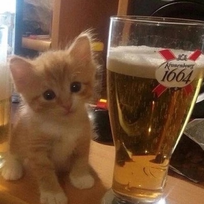 Андрей Позолотин