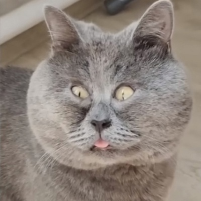 Сергей Терских