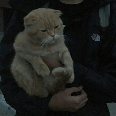 ラスール シシマノフ