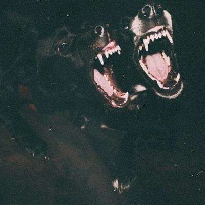 Александр Гребенин