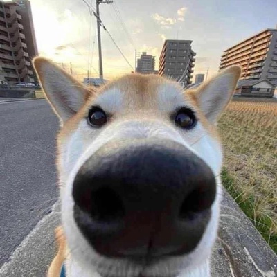 Алексей Икусов