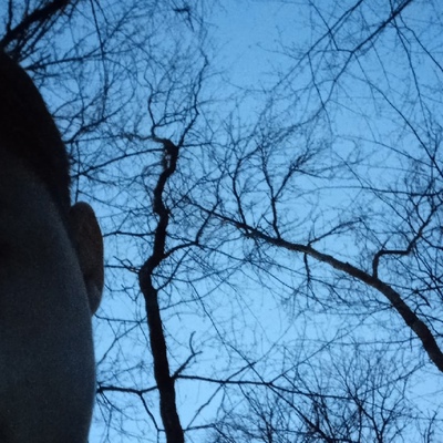 Стас Сущенко