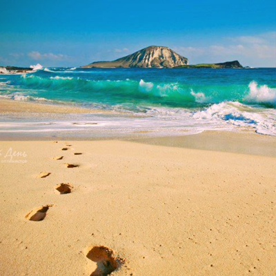 Александр Соколов(1)