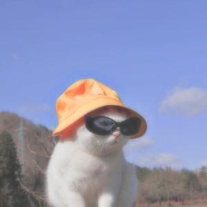 Такую Ребят