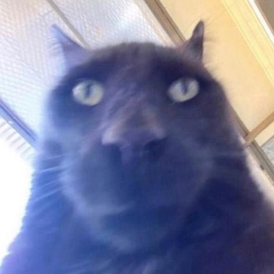 Никита Воробьёв