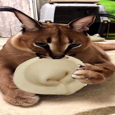 Захар Румянцев