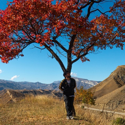 Камал Алибеков