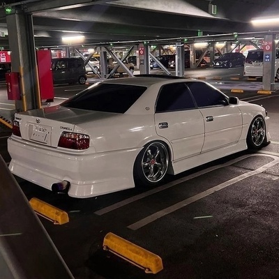 ‘pasha ‘sunshine