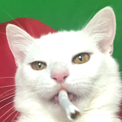 Витя Нехорошев