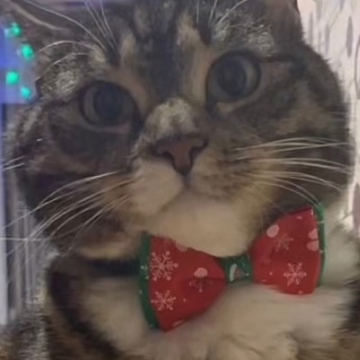 アニメ ナリック