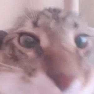 Ddgkjhgksdl Dgkjhgksgdshlsnh