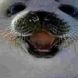 Негро Тянка