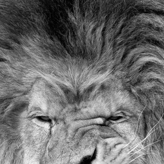 Андрей Сергеевич