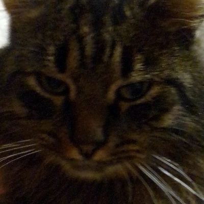 Влад Коноваленко